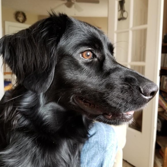 Meet your Posher, Juliana - Picture 3 of 3